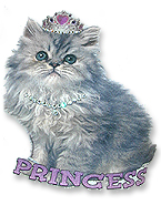 princesskitty.jpg